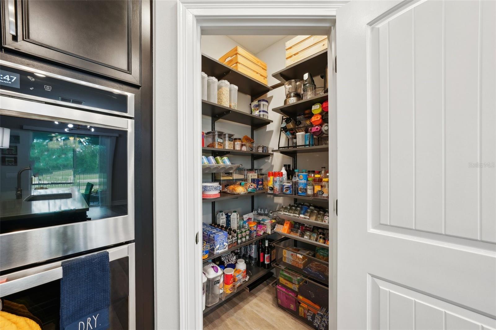 10736 WHITLAND GROVE DR, RIVERVIEW, FL, 33578