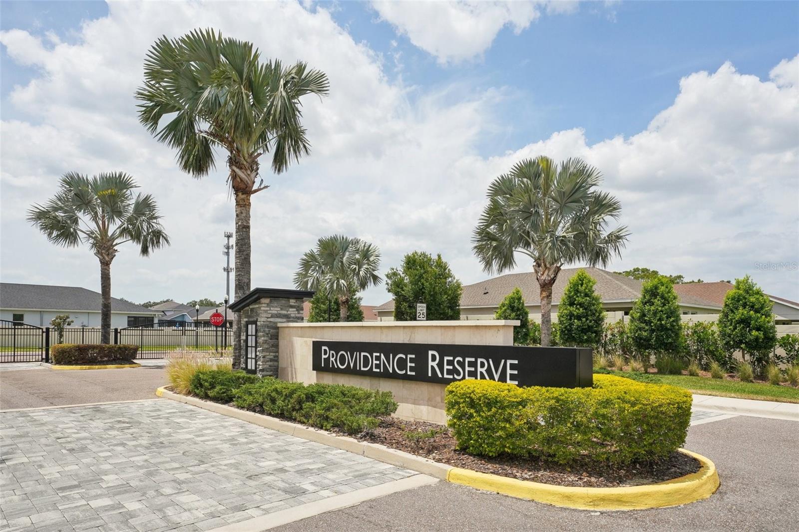 10736 WHITLAND GROVE DR, RIVERVIEW, FL, 33578