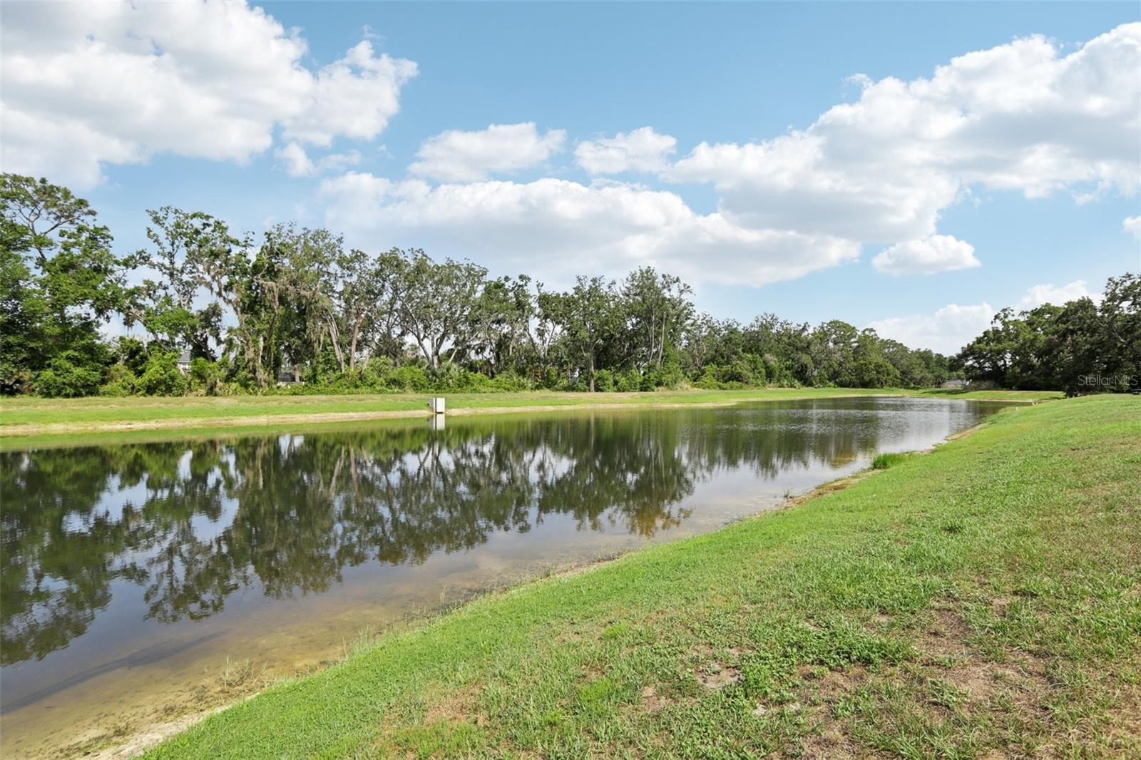 10736 WHITLAND GROVE DR, RIVERVIEW, FL, 33578