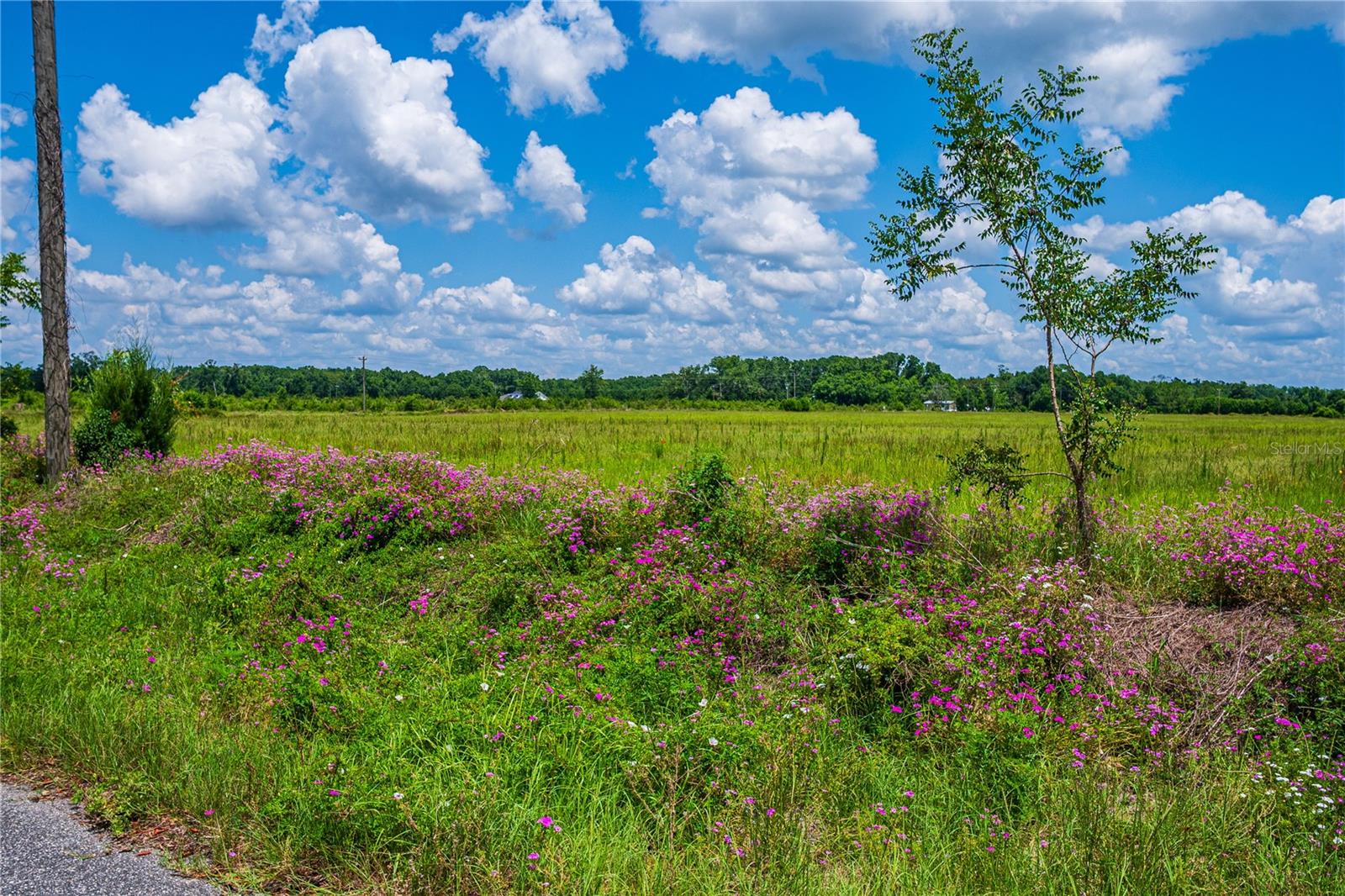 9510 228TH TER, O'BRIEN, FL, 32071