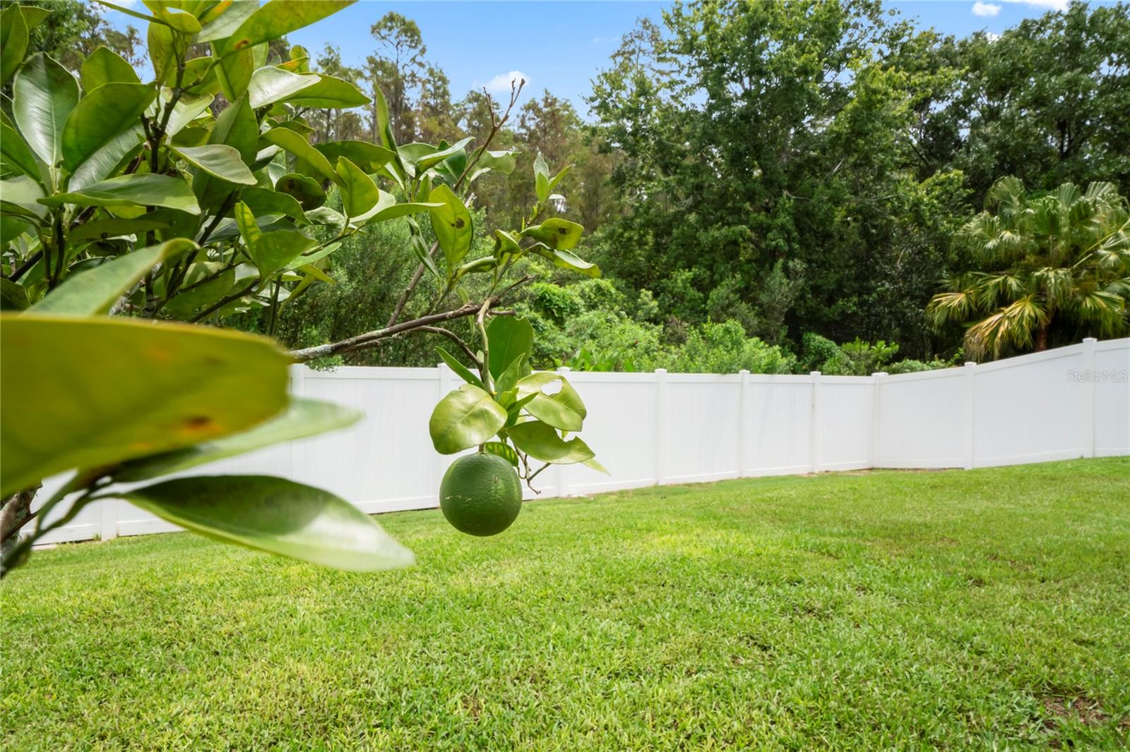 30643 TREMONT DR, WESLEY CHAPEL, FL, 33543