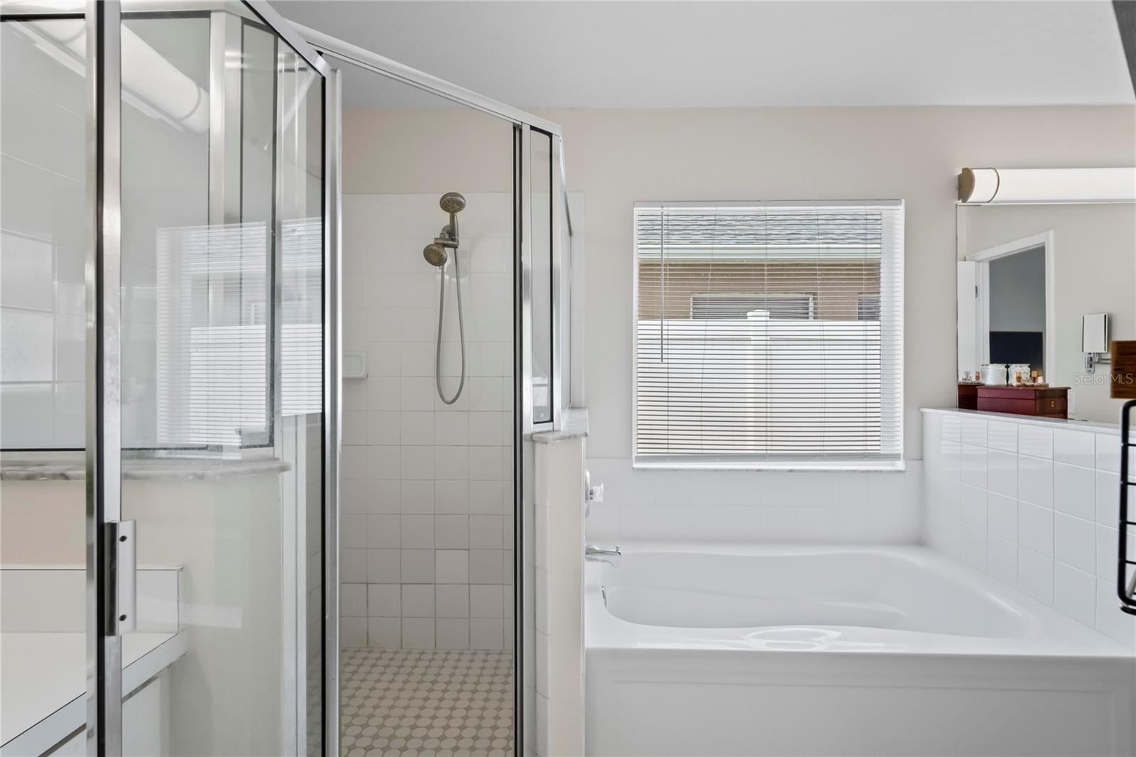 30643 TREMONT DR, WESLEY CHAPEL, FL, 33543