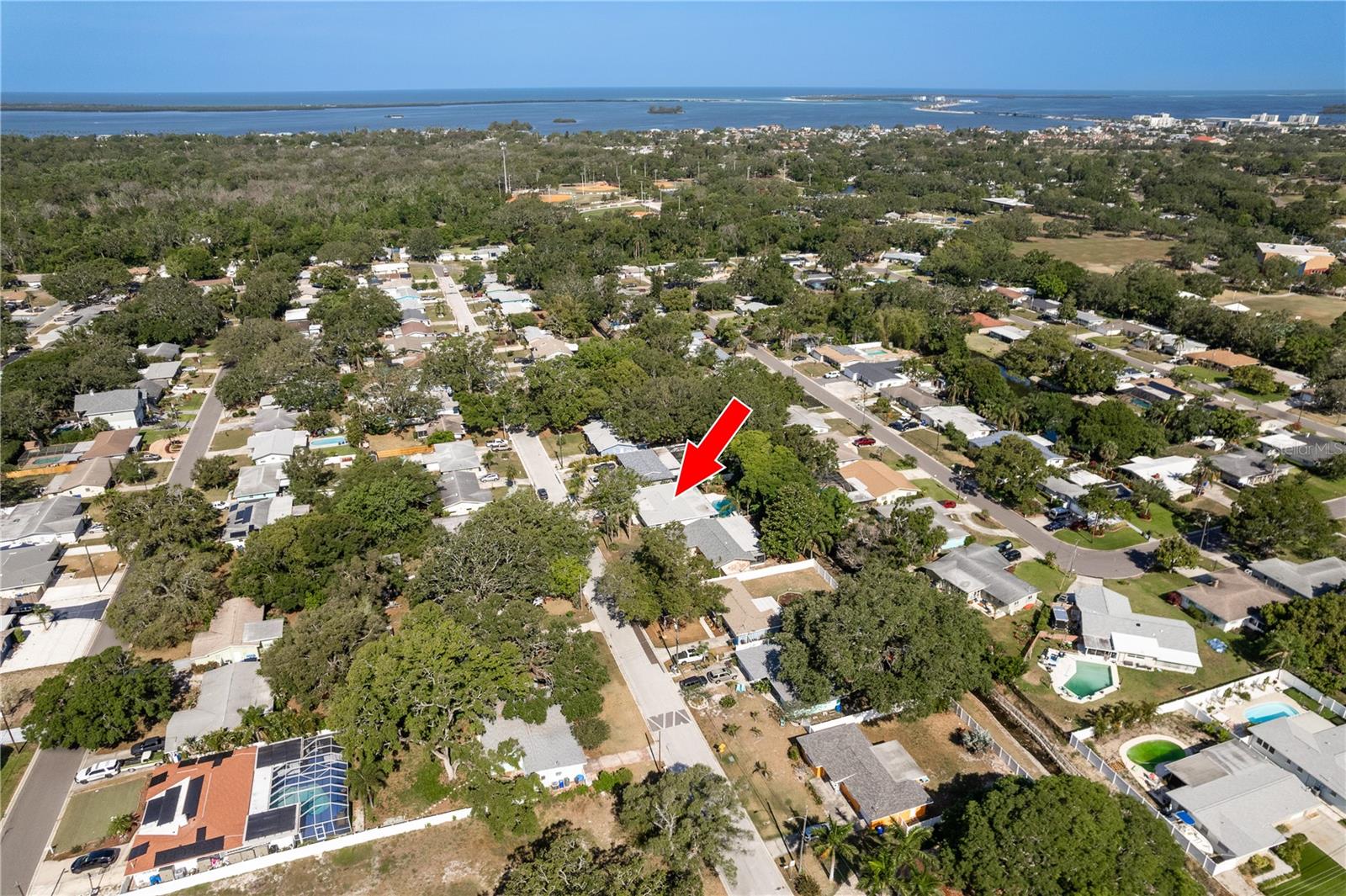 1152 JACKMAR RD, DUNEDIN, FL, 34698