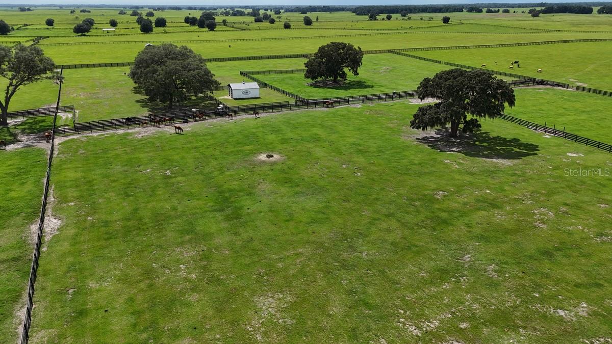 7970 SW 140TH AVE, DUNNELLON, FL, 34432