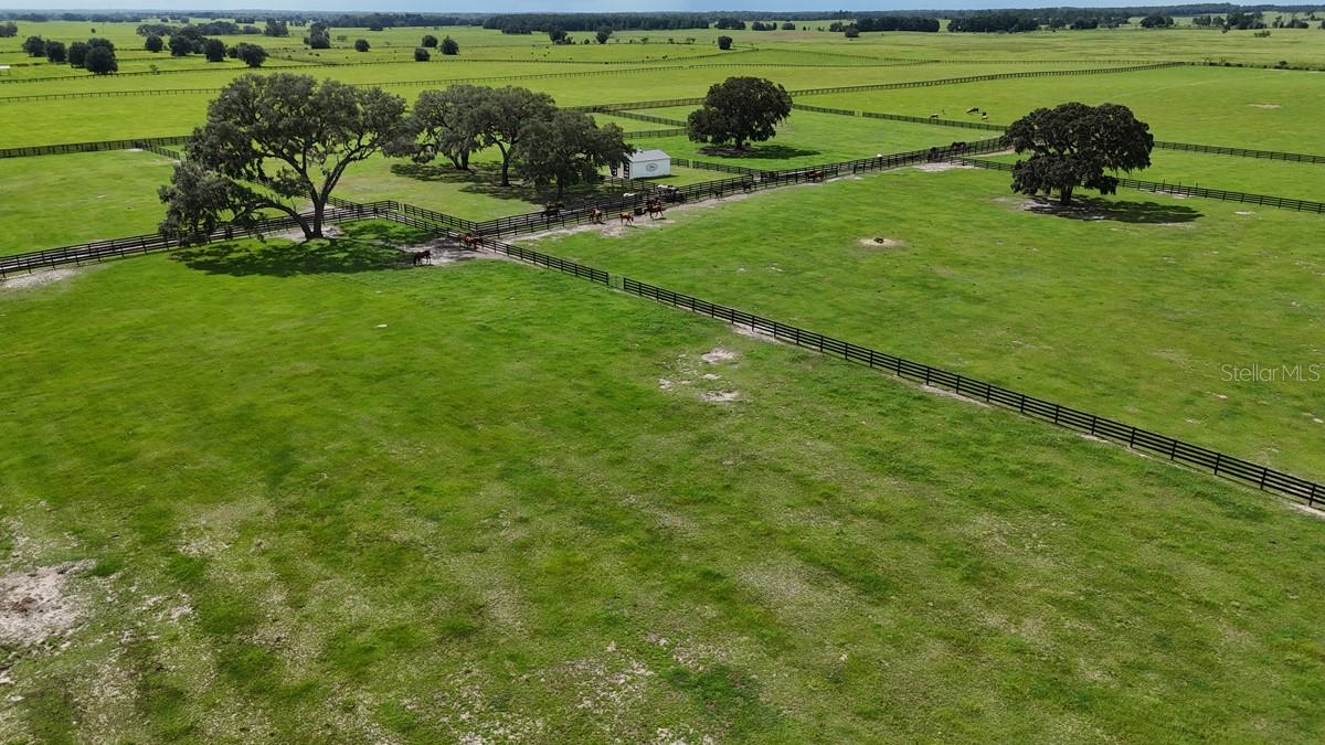 7970 SW 140TH AVE, DUNNELLON, FL, 34432