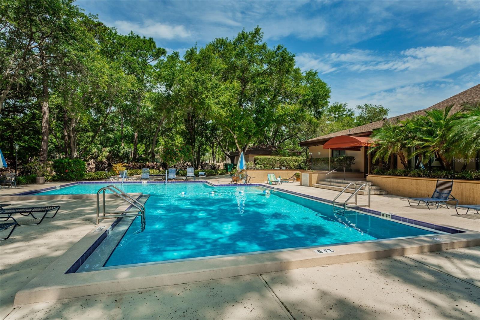 3062 EASTLAND BLVD #402, CLEARWATER, FL, 33761