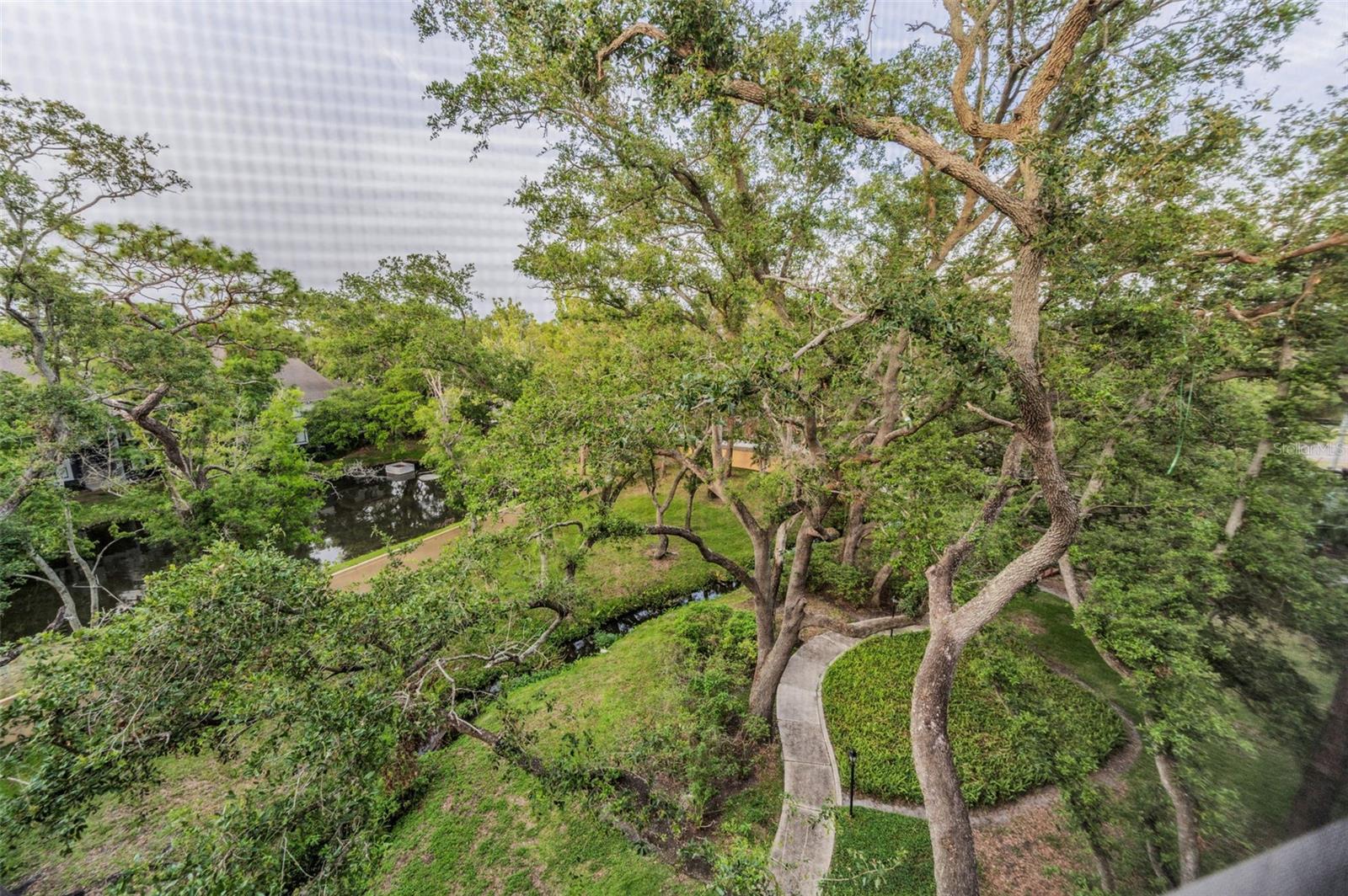 3062 EASTLAND BLVD #402, CLEARWATER, FL, 33761