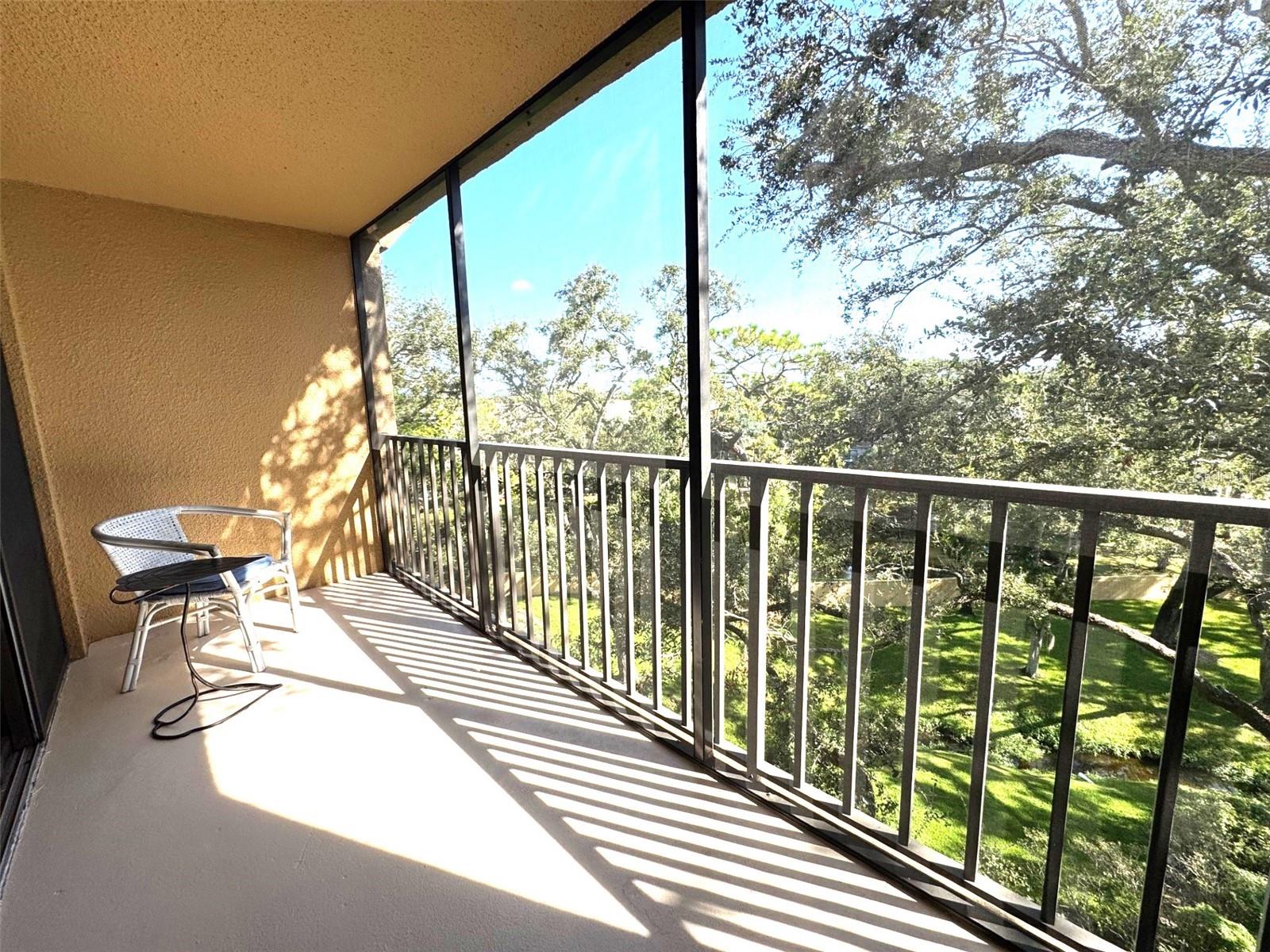 3062 EASTLAND BLVD #402, CLEARWATER, FL, 33761