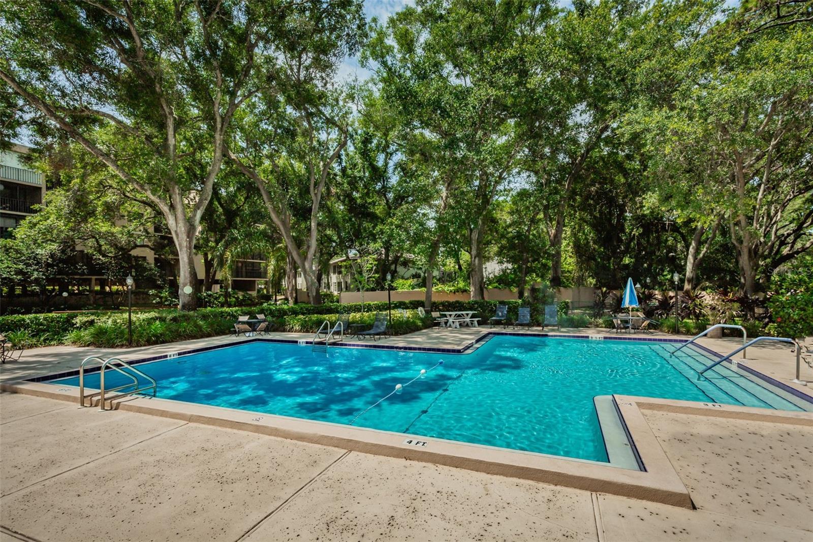 3062 EASTLAND BLVD #402, CLEARWATER, FL, 33761