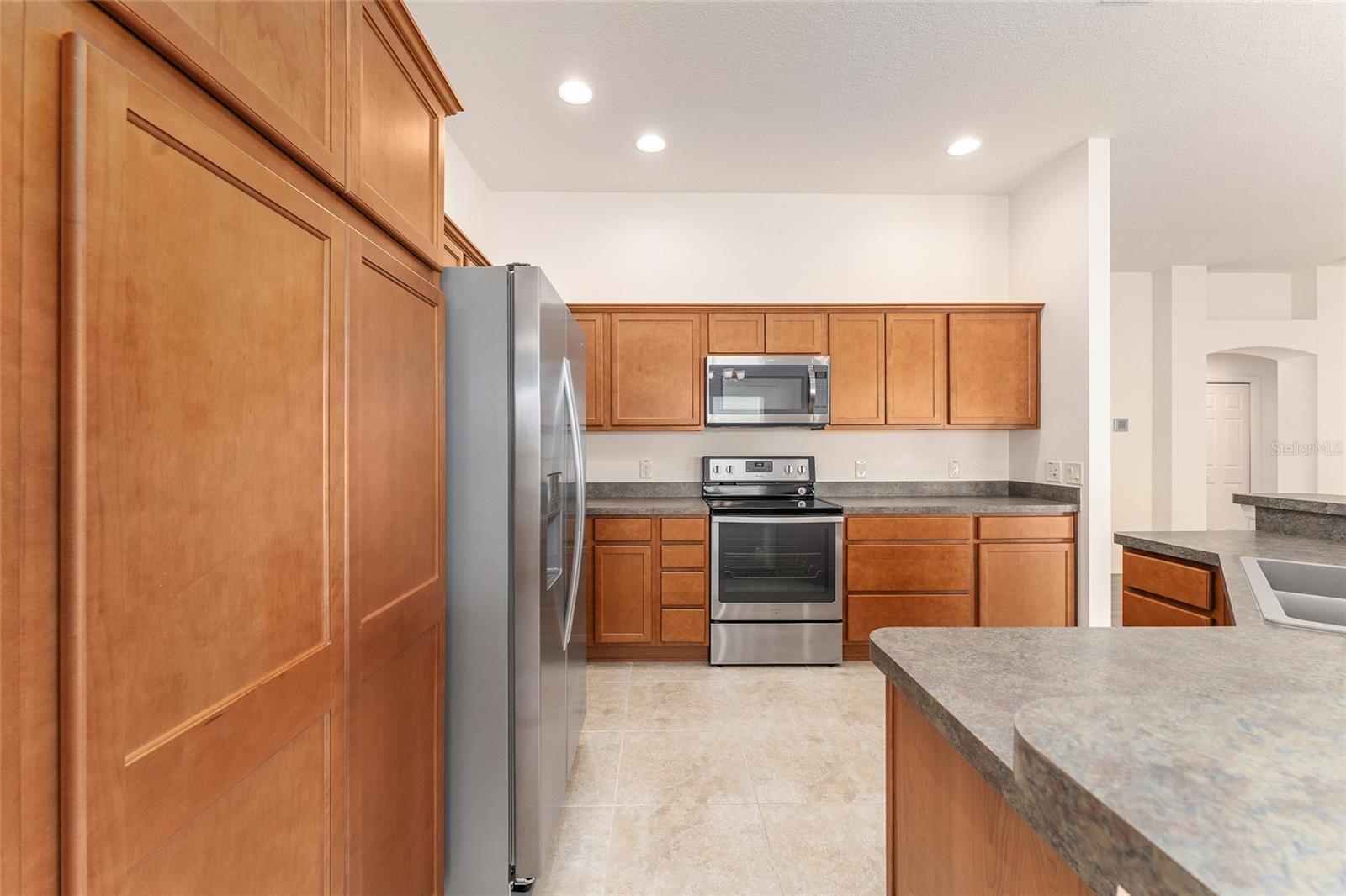 9181 SE 166TH SPRUNG LN, THE VILLAGES, FL, 32162