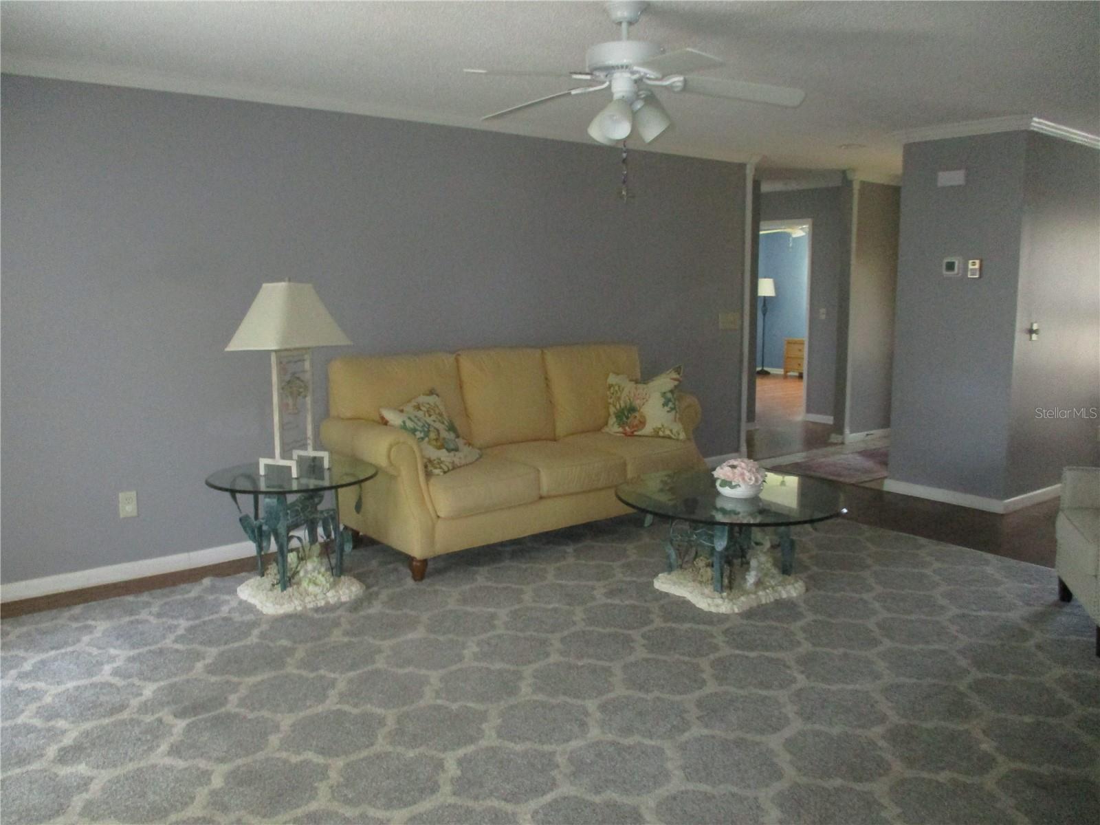 703 ELKHORN RD, SUN CITY CENTER, FL, 33573