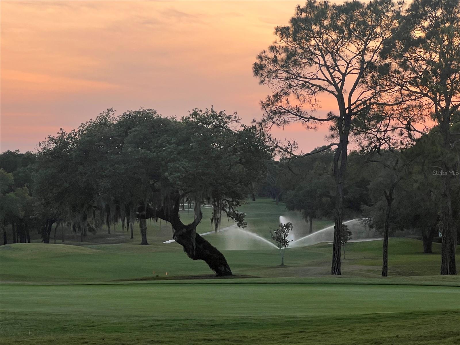 1725 N SHADOWVIEW PATH, HERNANDO, FL, 34442