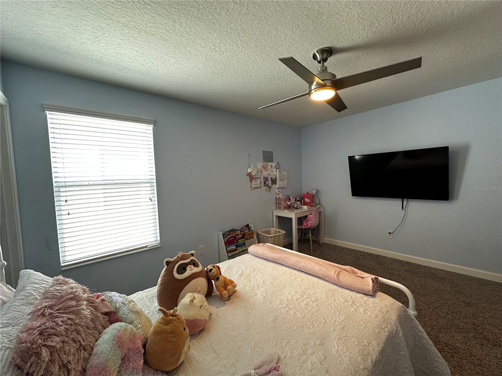 11456 SHORT STORY ST, ORLANDO, FL, 32832