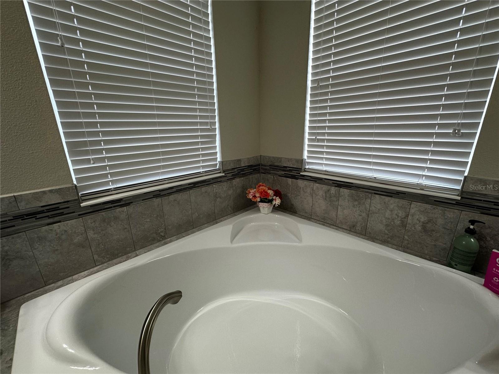 11456 SHORT STORY ST, ORLANDO, FL, 32832