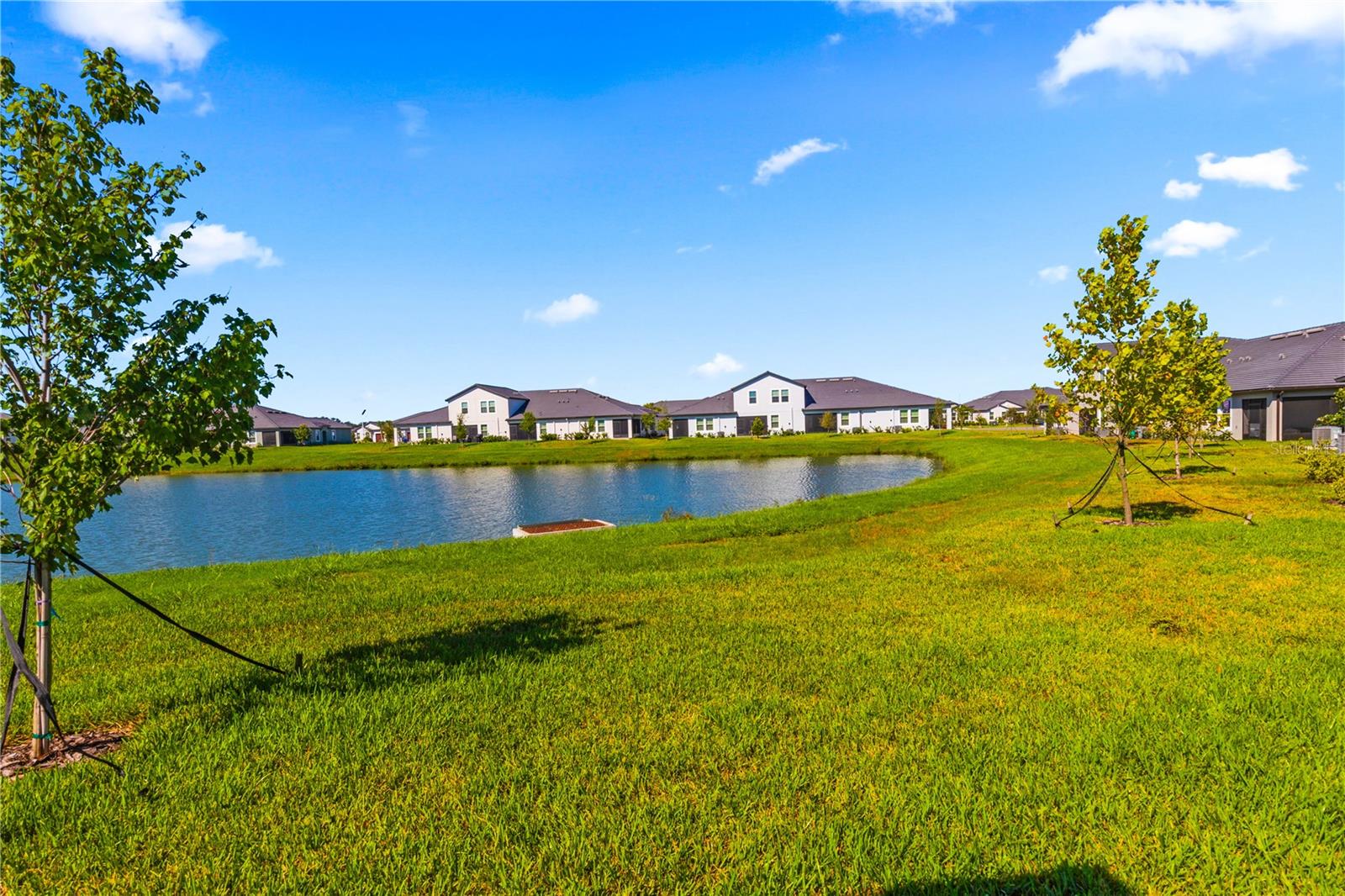 10721 GABLE DIG LOOP, SAN ANTONIO, FL, 33576