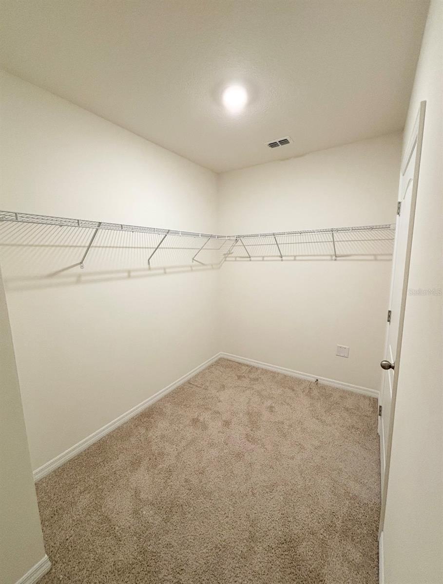 5168 GREENHEART AVE, MOUNT DORA, FL, 32757