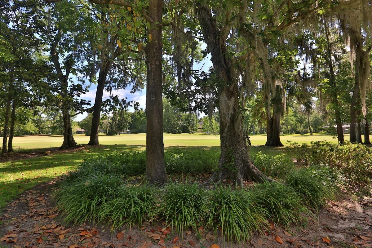 7939 SE 12TH CIR, OCALA, FL, 34480