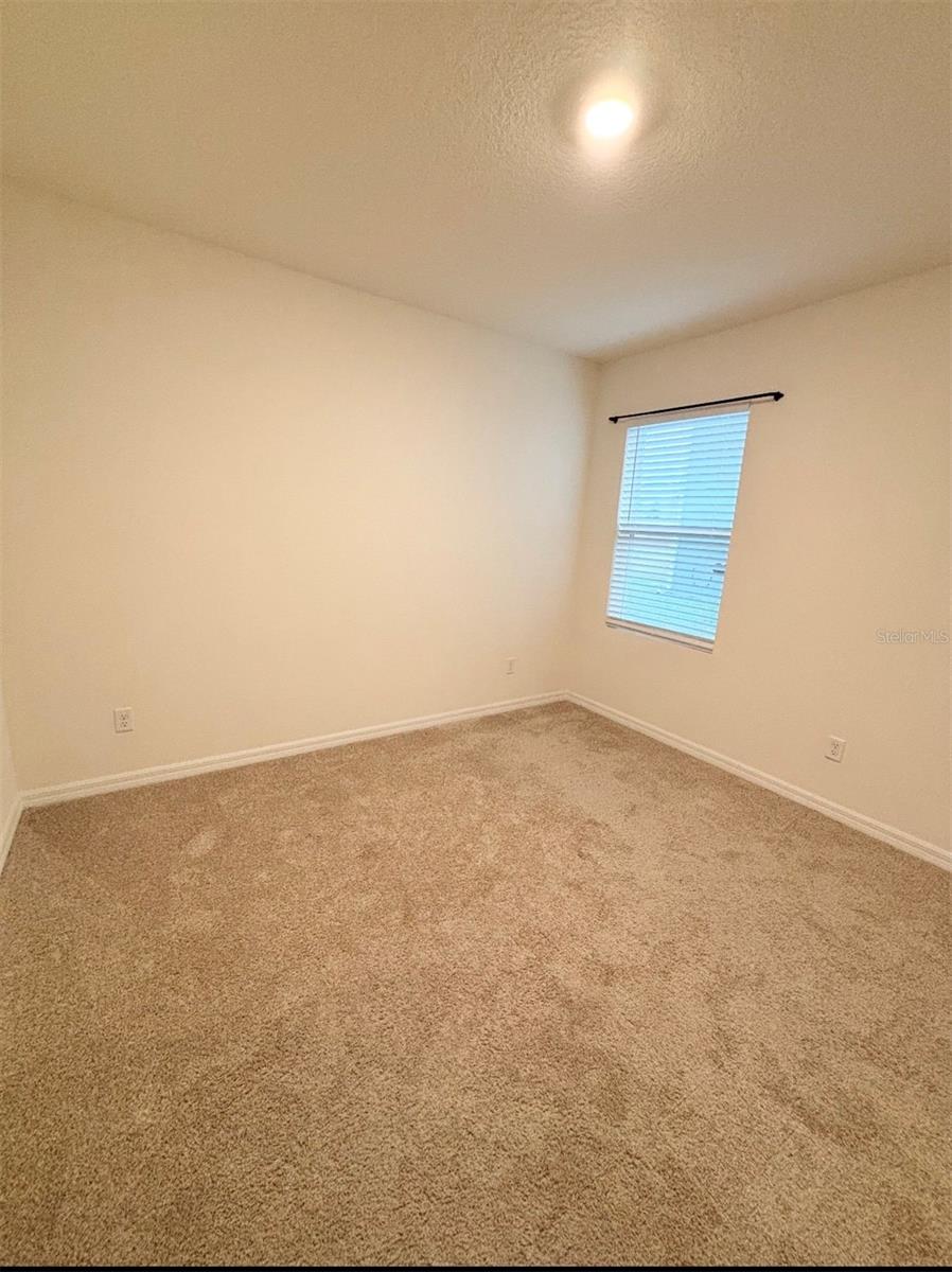 5216 GREENHEART AVE, MOUNT DORA, FL, 32757