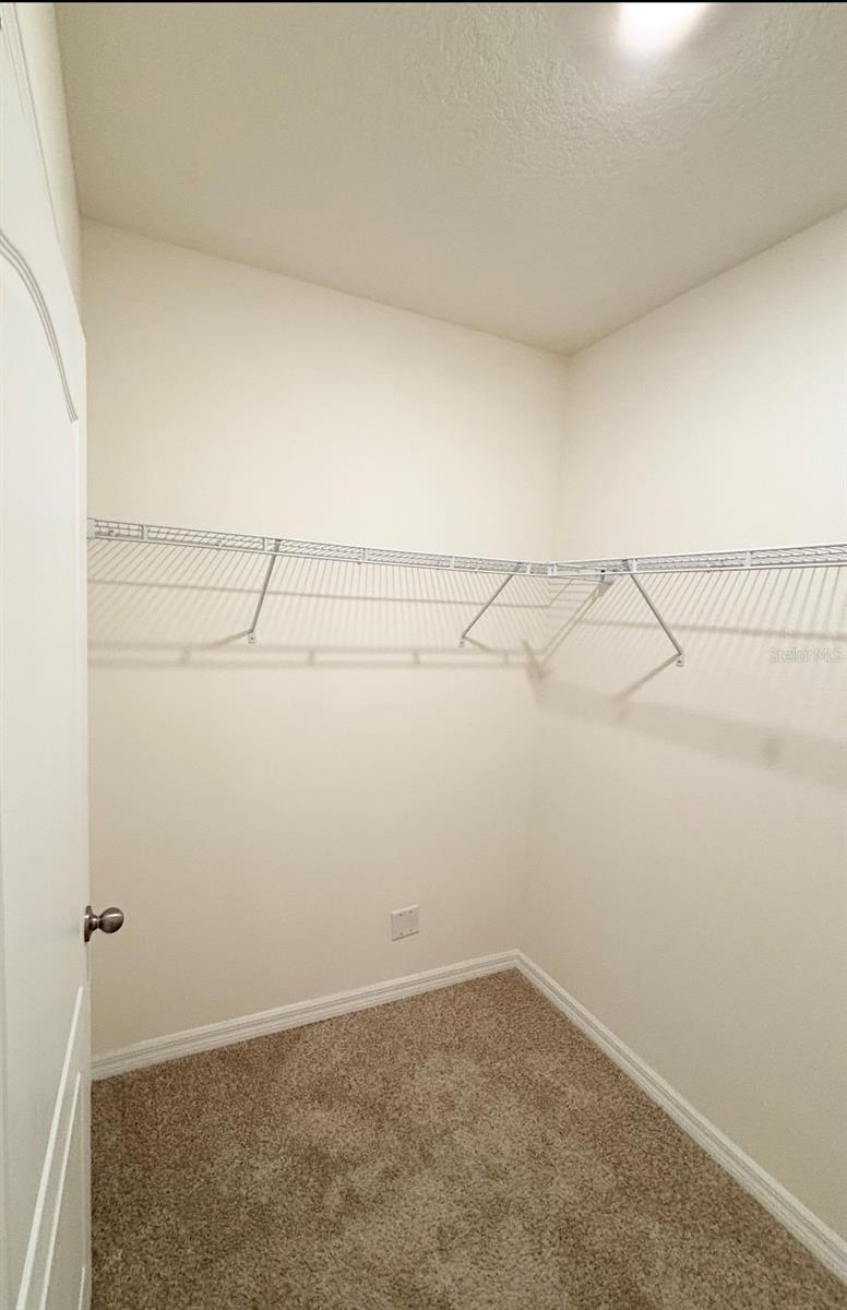 5216 GREENHEART AVE, MOUNT DORA, FL, 32757