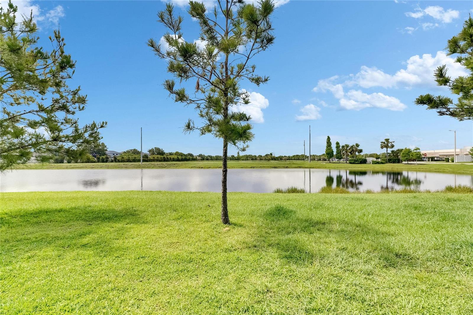 12952 UTOPIA GARDENS WAY, RIVERVIEW, FL, 33579