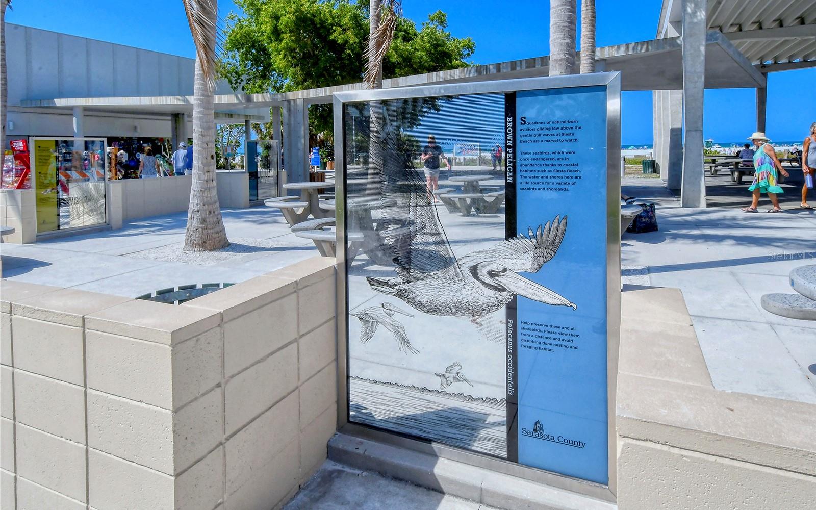 1857 JASMINE DR, SARASOTA, FL, 34239