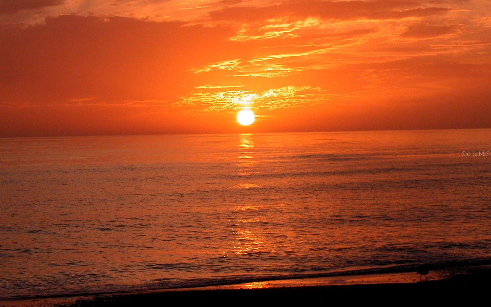 1857 JASMINE DR, SARASOTA, FL, 34239