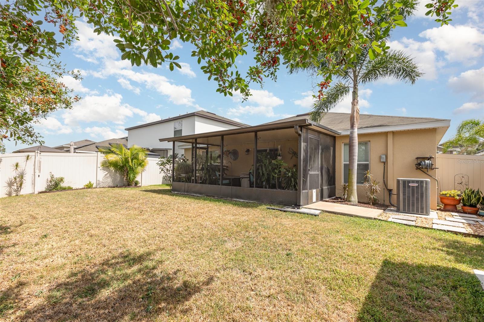 10036 CRESTED FRINGE DR, RIVERVIEW, FL, 33578