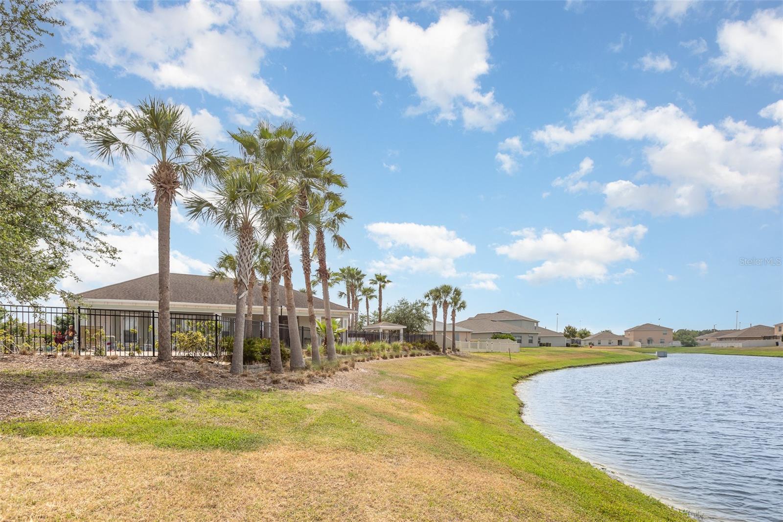 10036 CRESTED FRINGE DR, RIVERVIEW, FL, 33578