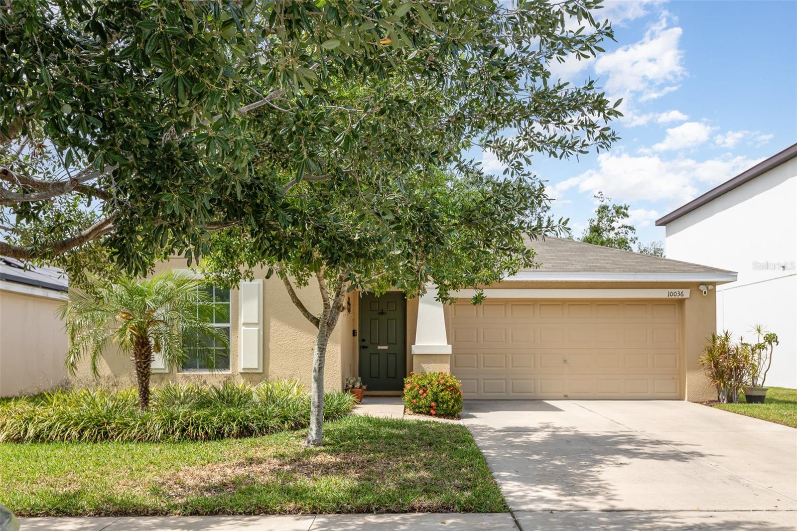 10036 CRESTED FRINGE DR, RIVERVIEW, FL, 33578