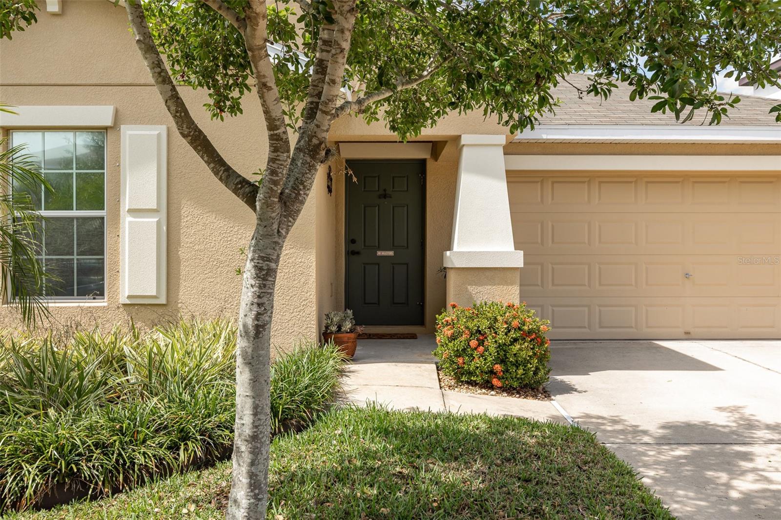 10036 CRESTED FRINGE DR, RIVERVIEW, FL, 33578