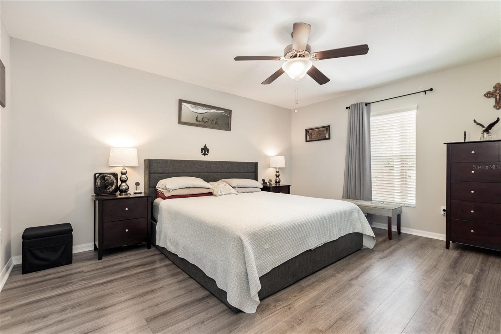 10036 CRESTED FRINGE DR, RIVERVIEW, FL, 33578