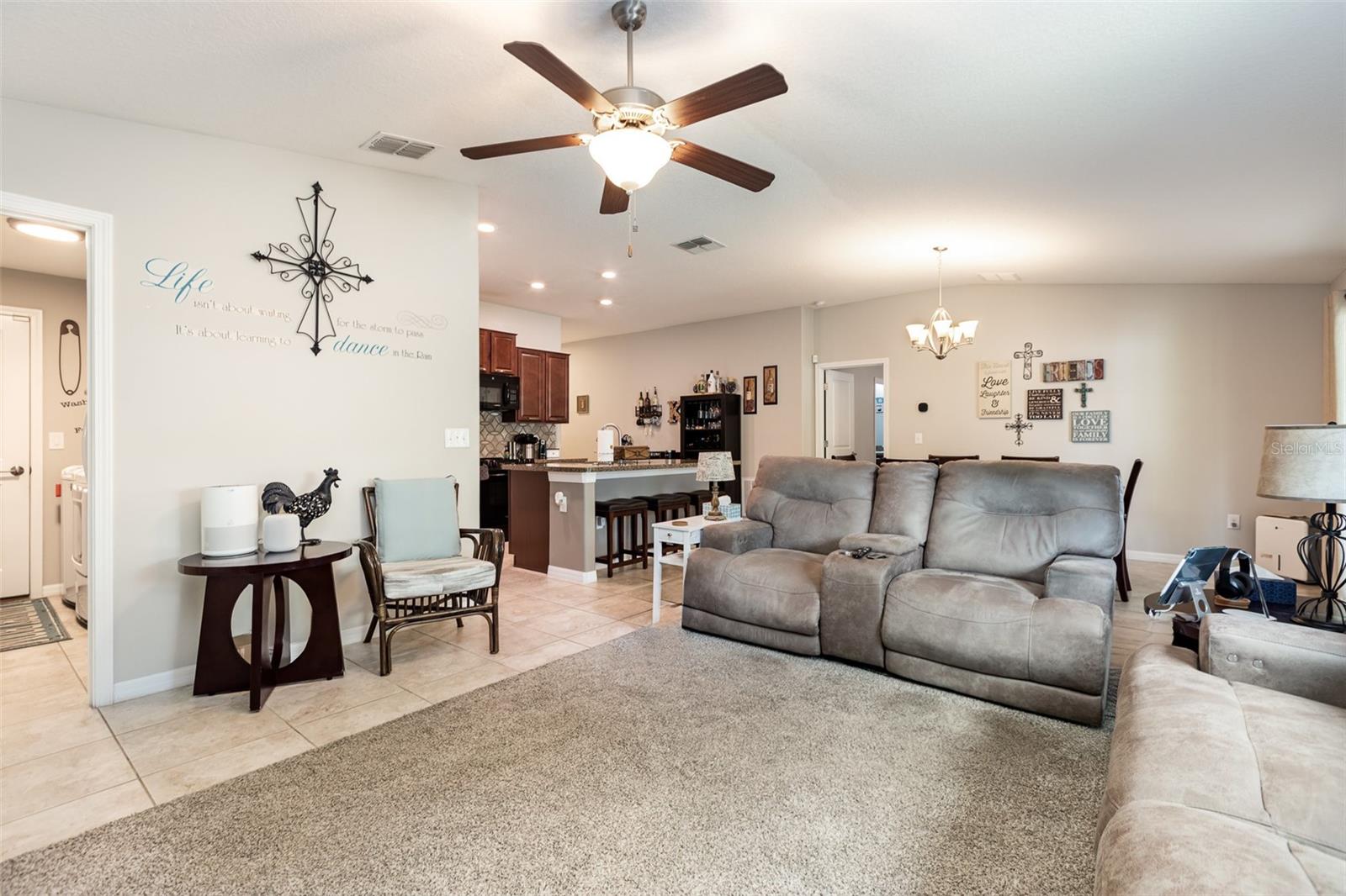 10036 CRESTED FRINGE DR, RIVERVIEW, FL, 33578