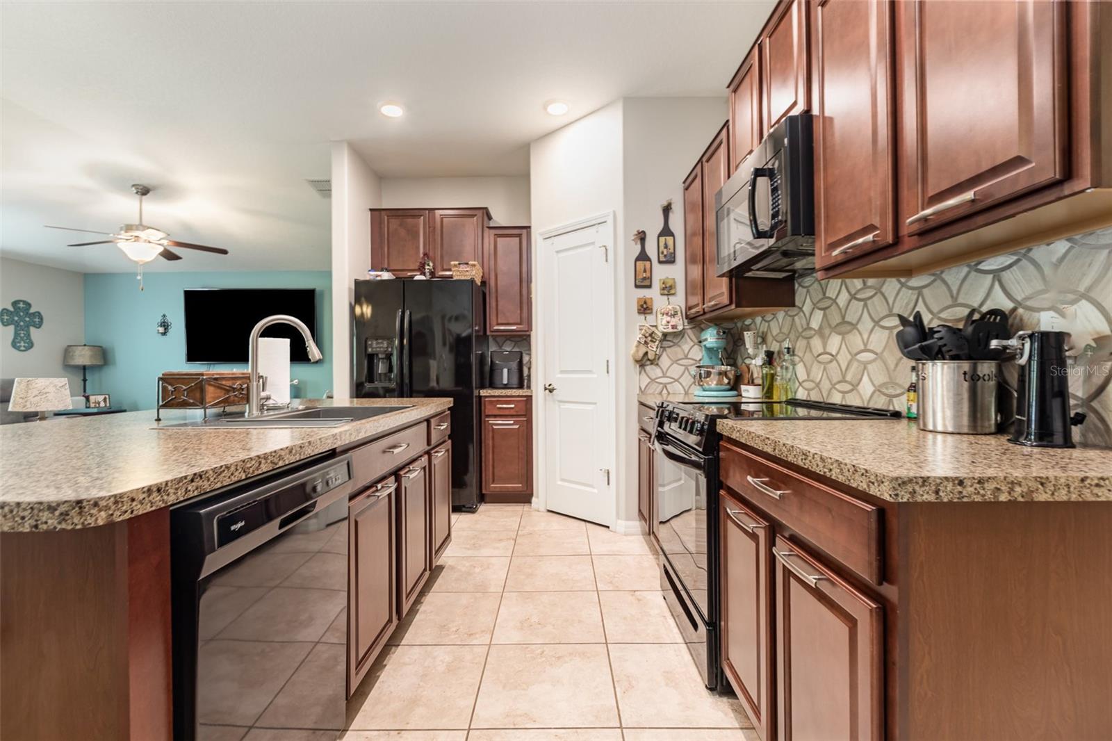 10036 CRESTED FRINGE DR, RIVERVIEW, FL, 33578