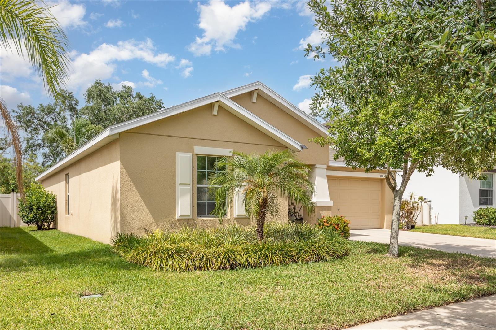 10036 CRESTED FRINGE DR, RIVERVIEW, FL, 33578