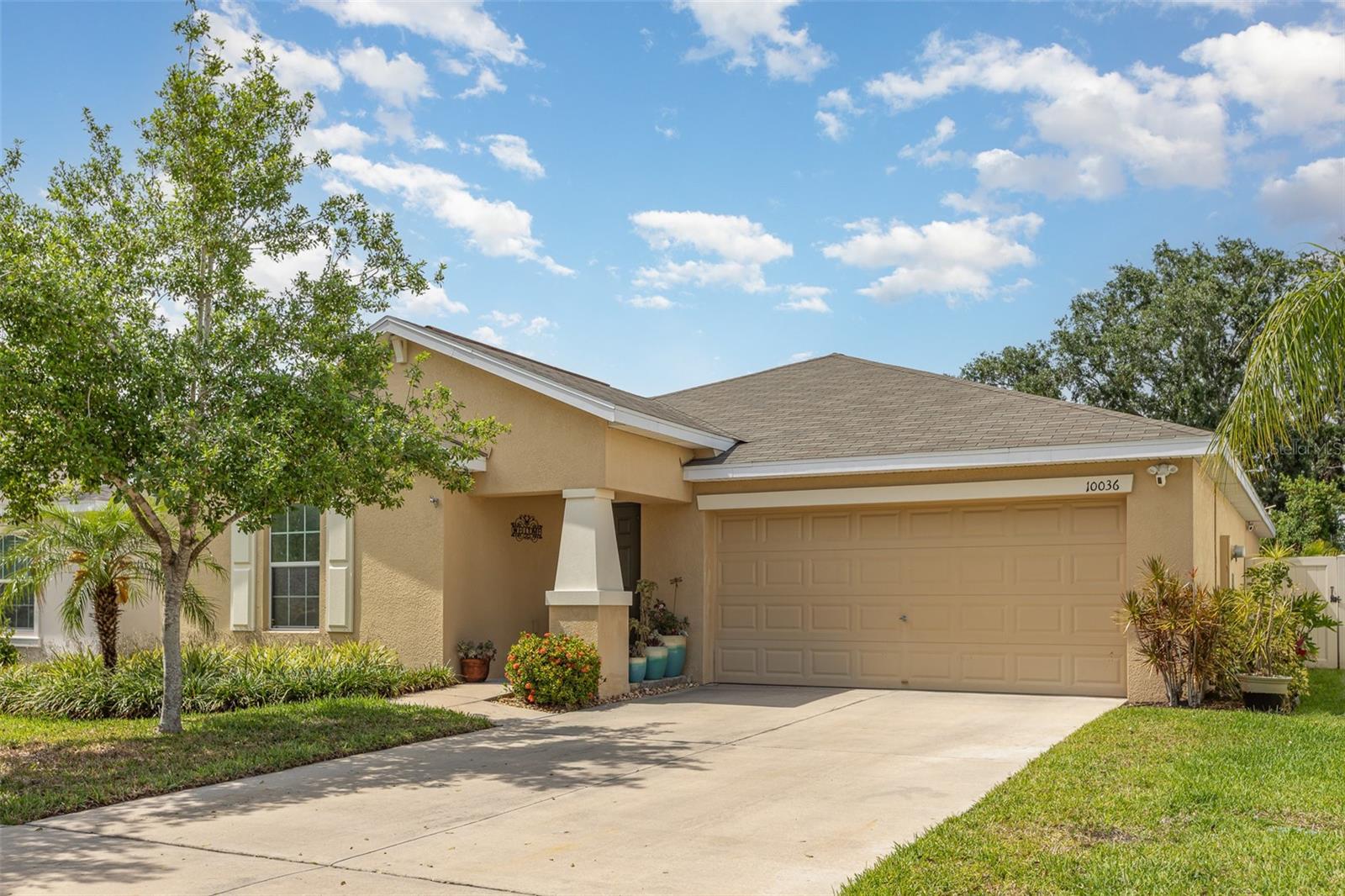 10036 CRESTED FRINGE DR, RIVERVIEW, FL, 33578