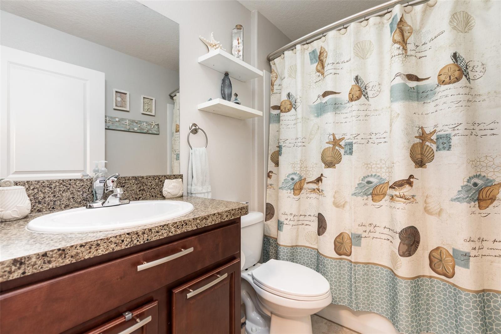 10036 CRESTED FRINGE DR, RIVERVIEW, FL, 33578