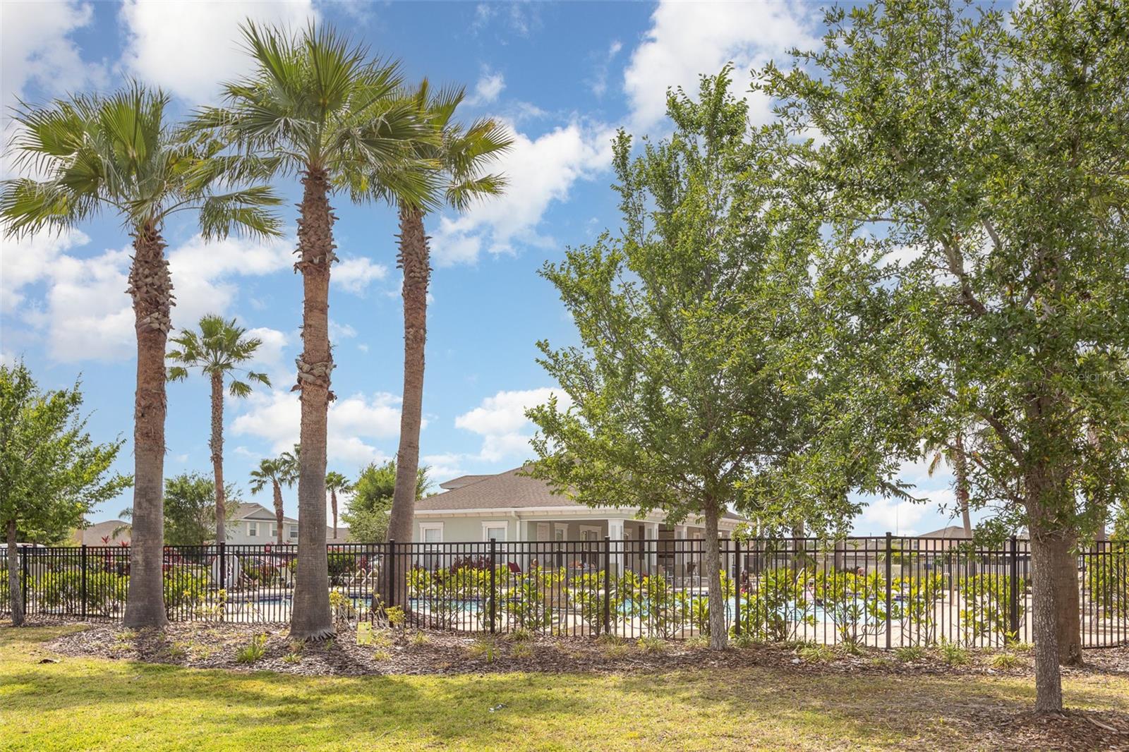 10036 CRESTED FRINGE DR, RIVERVIEW, FL, 33578