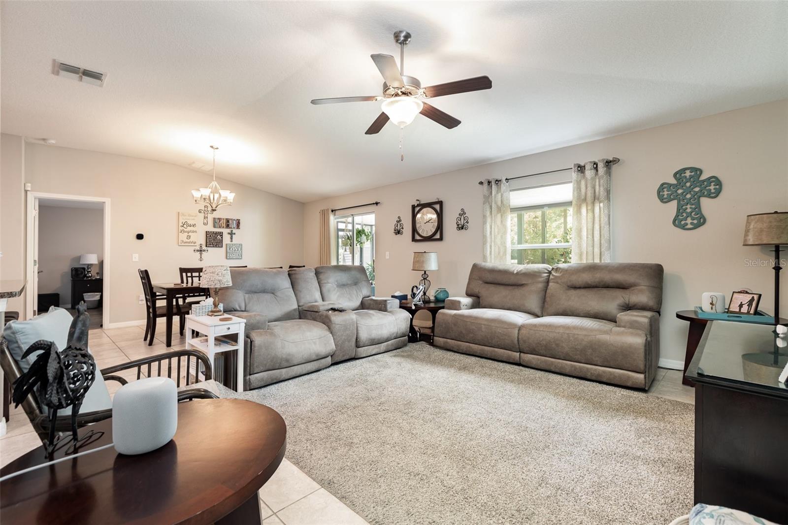 10036 CRESTED FRINGE DR, RIVERVIEW, FL, 33578