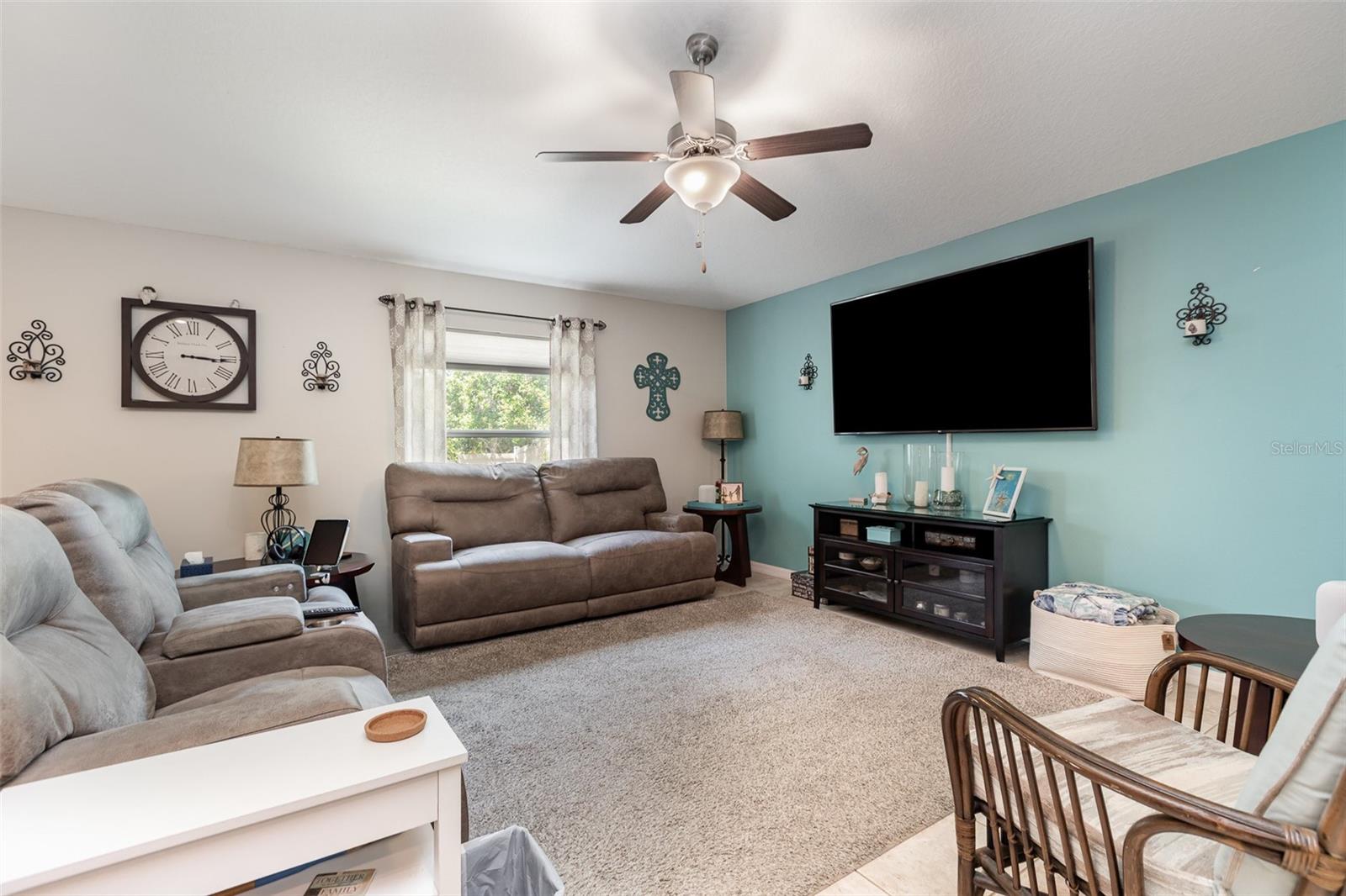 10036 CRESTED FRINGE DR, RIVERVIEW, FL, 33578