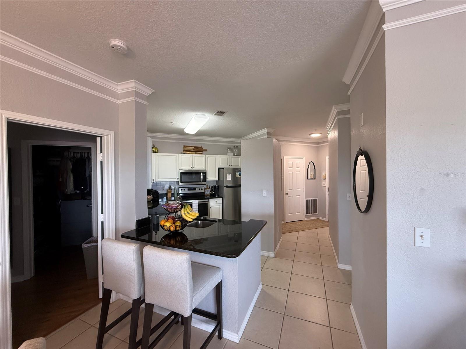 4333 BAYSIDE VILLAGE DR #310, TAMPA, FL, 33615