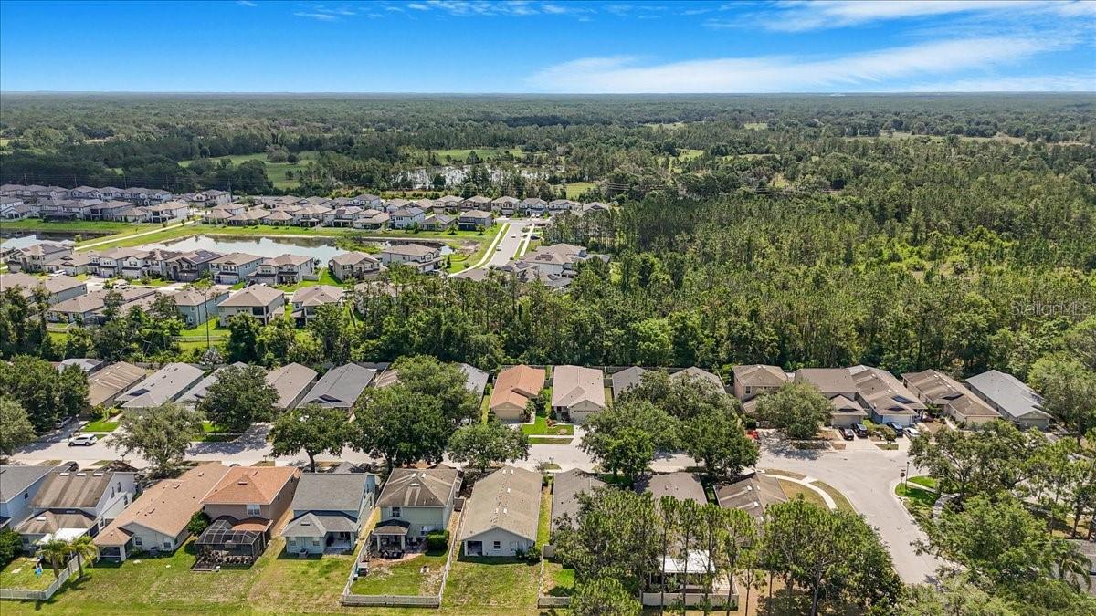 7031 KENDALL HEATH WAY, LAND O LAKES, FL, 34637