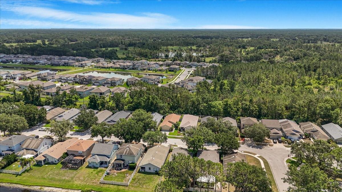 7031 KENDALL HEATH WAY, LAND O LAKES, FL, 34637