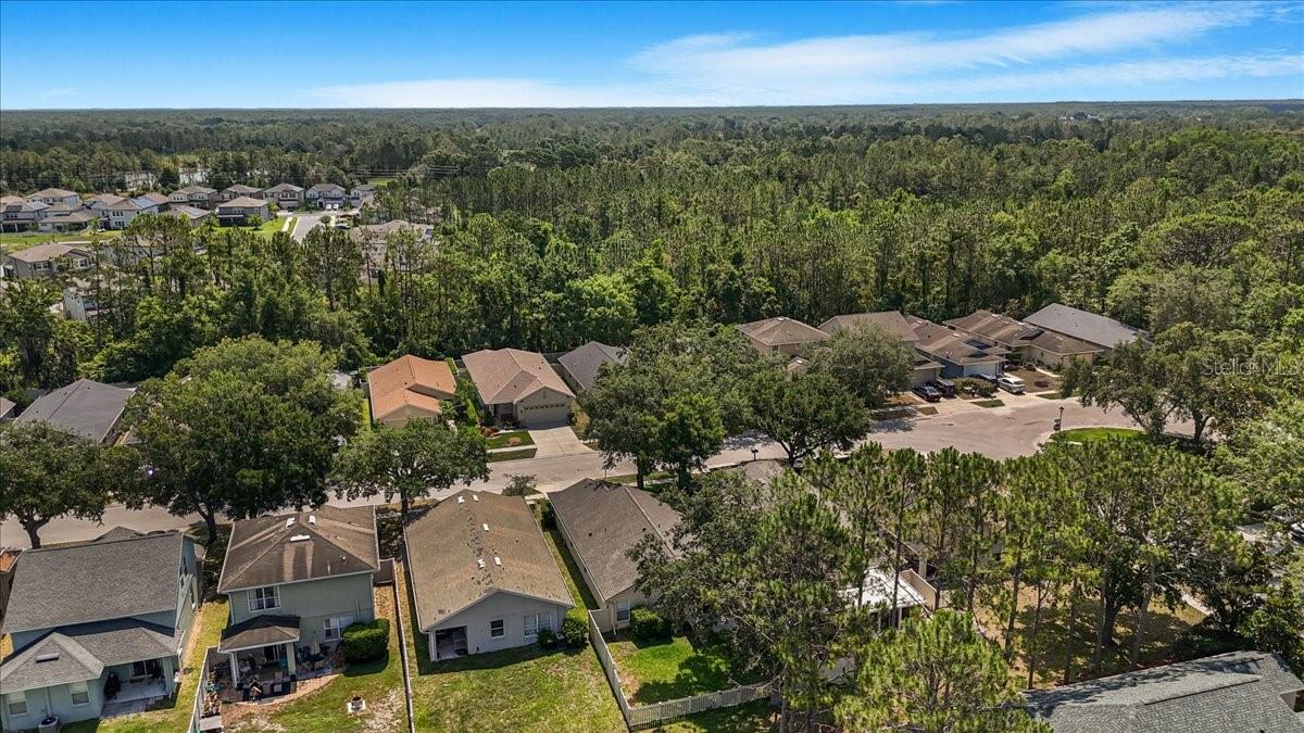7031 KENDALL HEATH WAY, LAND O LAKES, FL, 34637