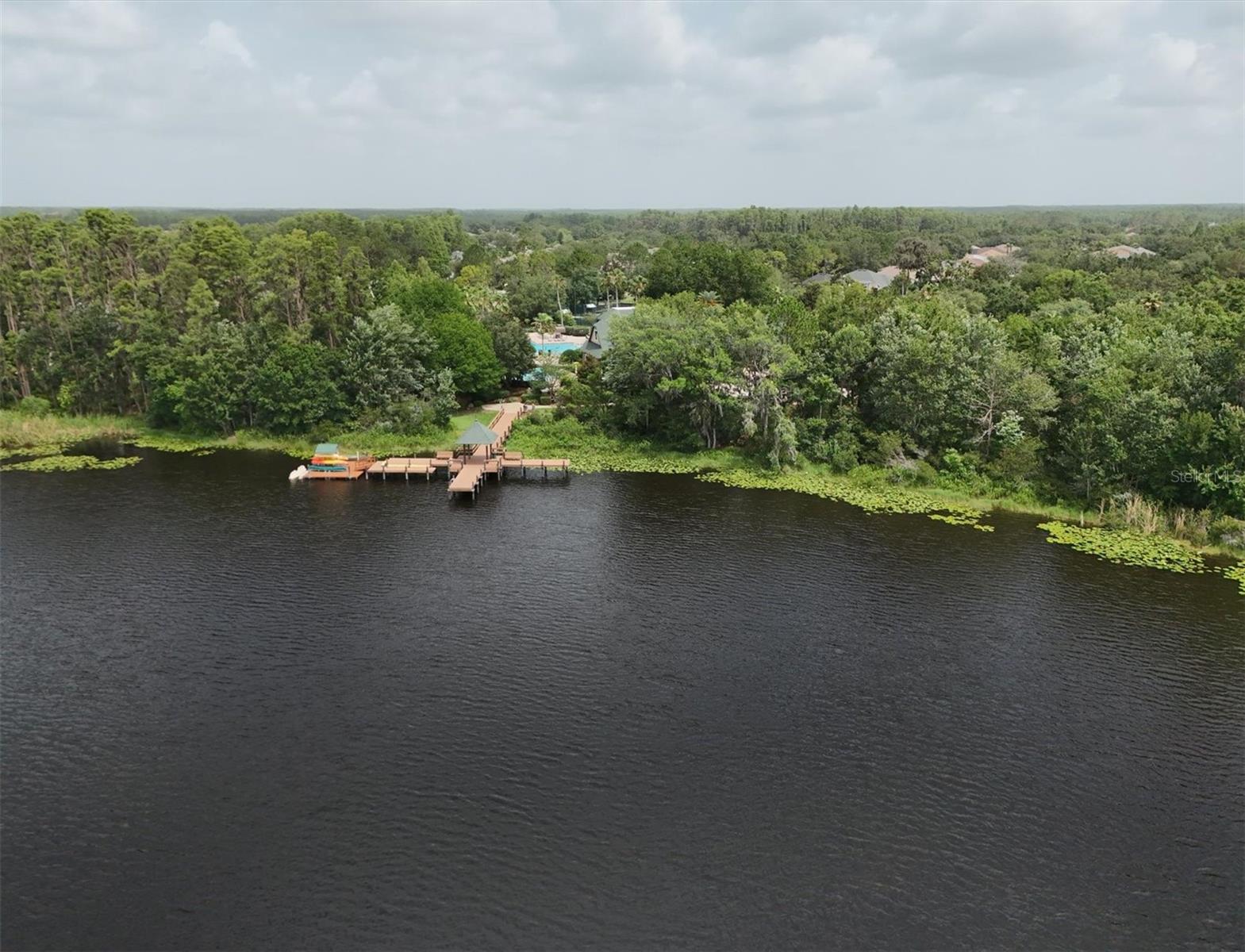 7031 KENDALL HEATH WAY, LAND O LAKES, FL, 34637