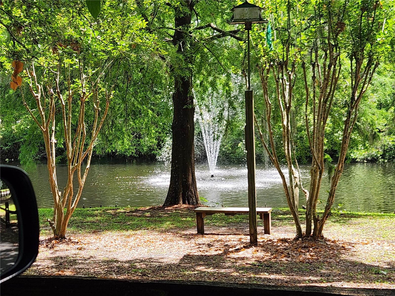 BELLAMY FORGE, GAINESVILLE, FL, 32606