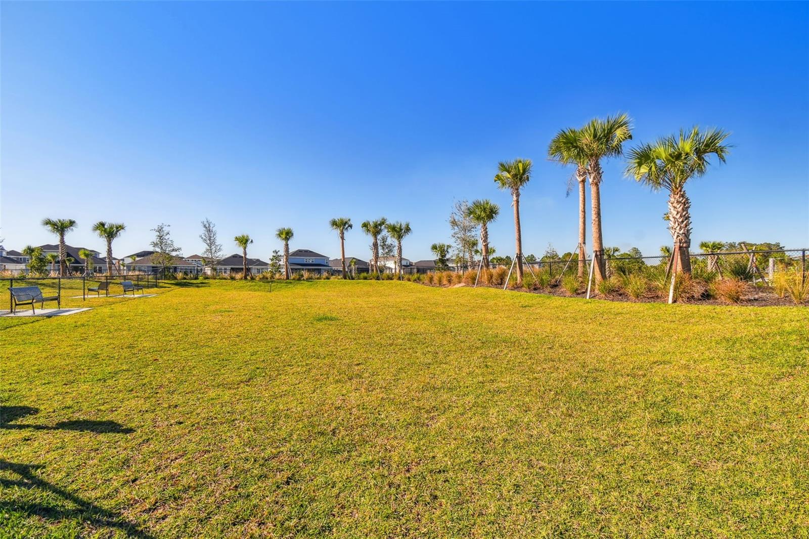 34084 TORRENT LN, WESLEY CHAPEL, FL, 33543