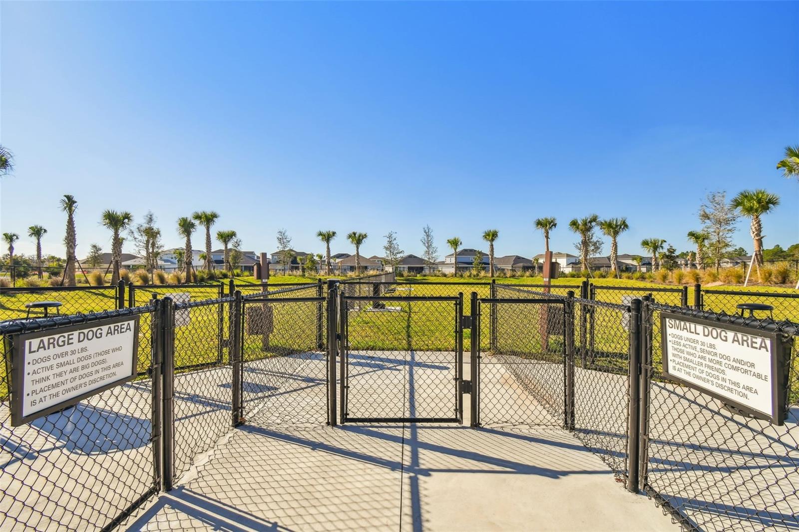 34084 TORRENT LN, WESLEY CHAPEL, FL, 33543