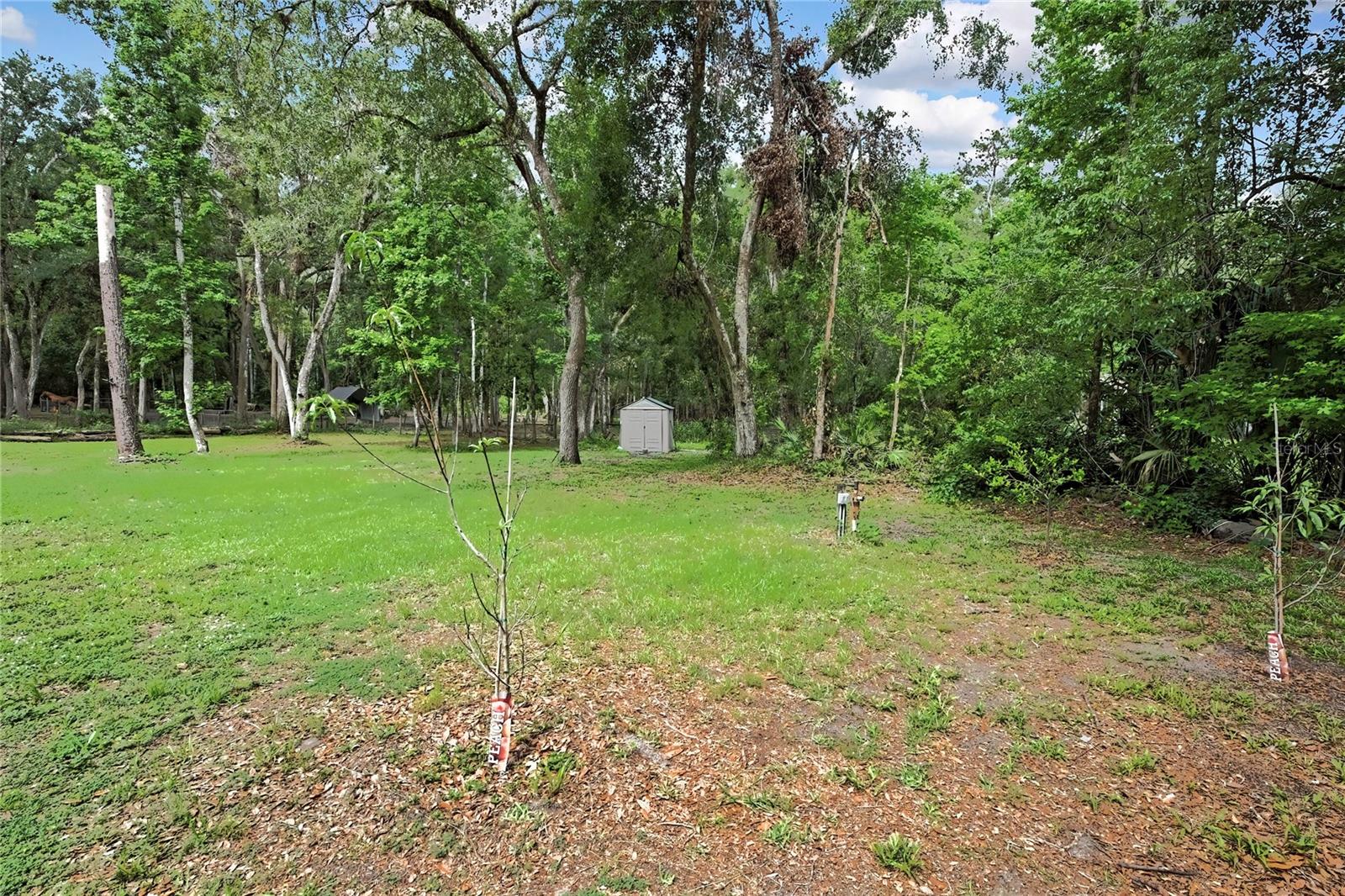 5113 CEDAR LN, BROOKSVILLE, FL, 34601