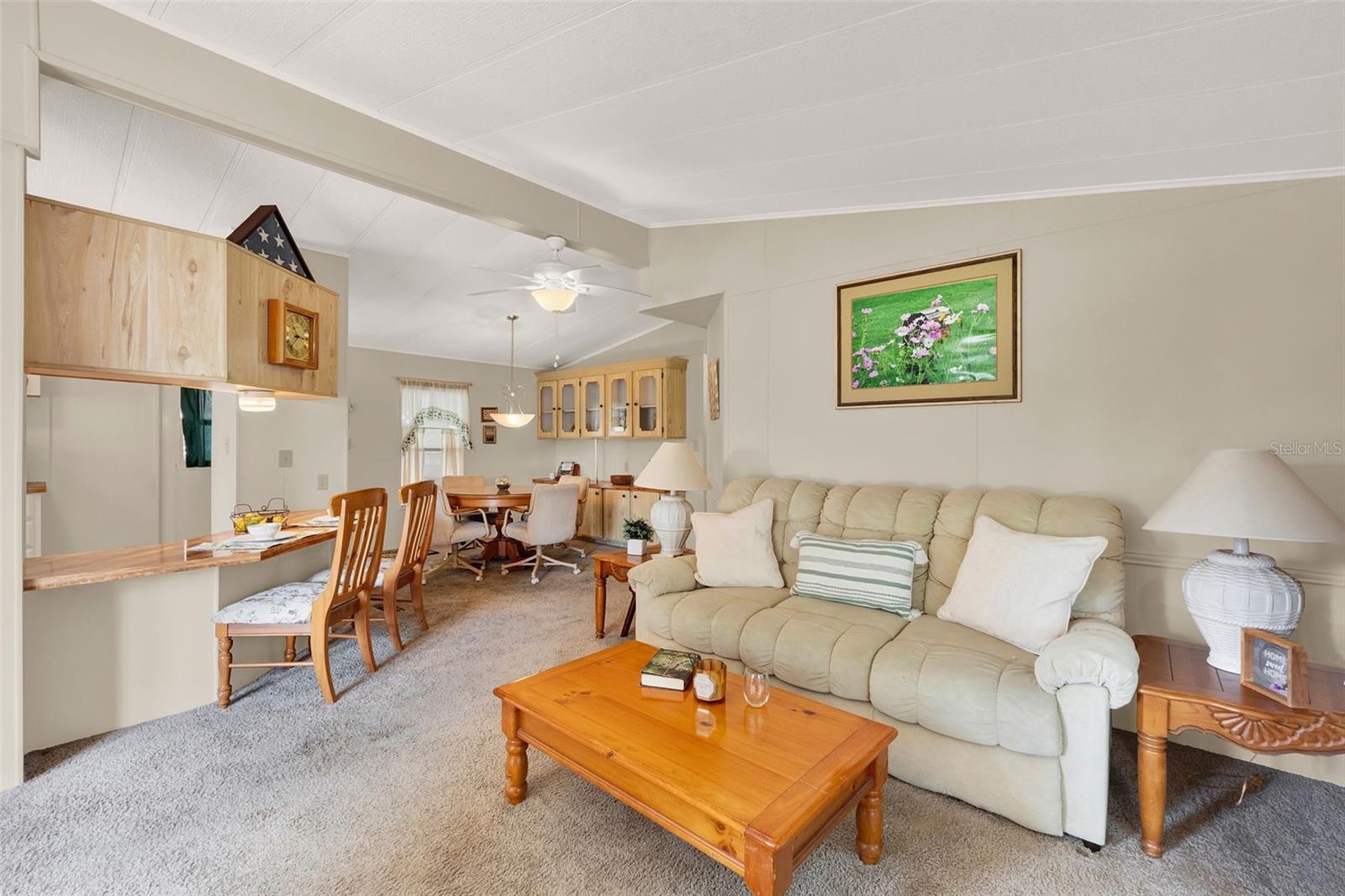 741 ROYAL PALM AVE, THE VILLAGES, FL, 32159