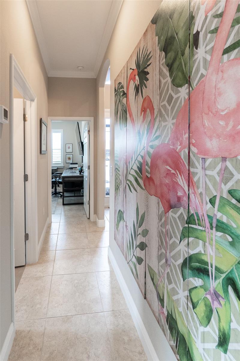 2435 PAWTUCKET PASS, MOUNT DORA, FL, 32757